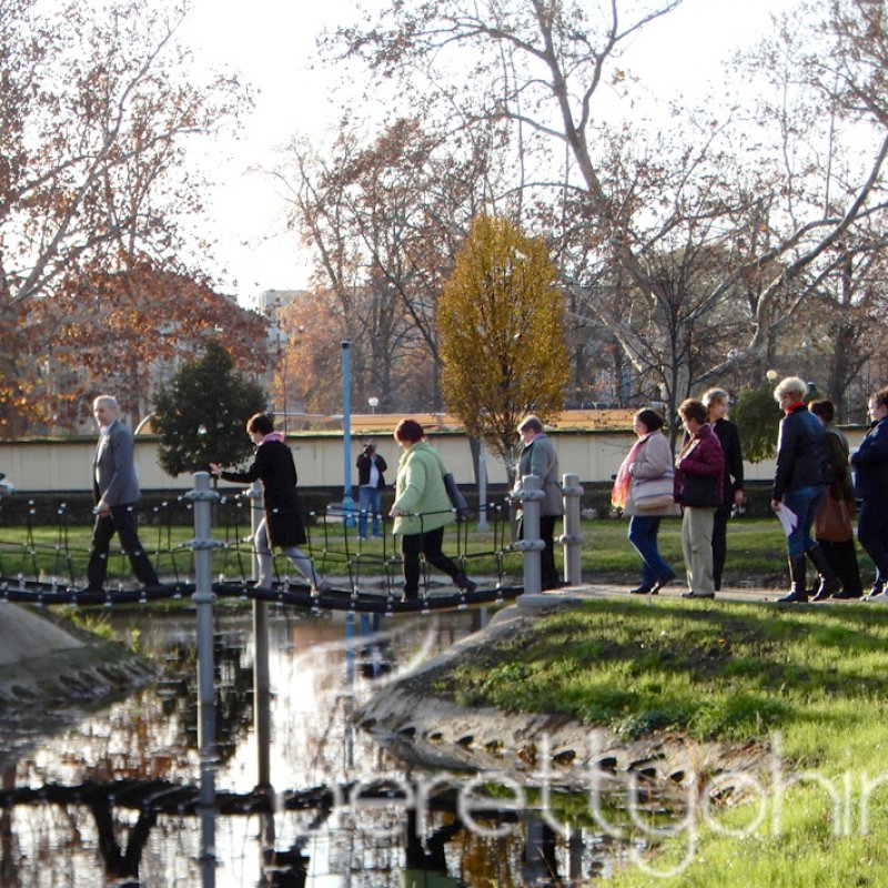 Tulipánfával a mellrák ellen 24